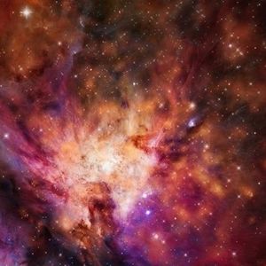 Meet your Posher, Donald